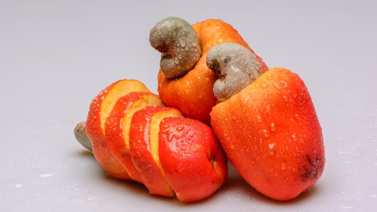 cashew-fruit [Mundhiri Pazham]