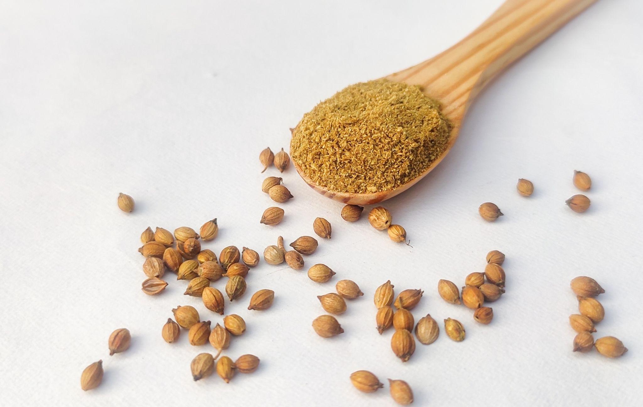 coriander powder